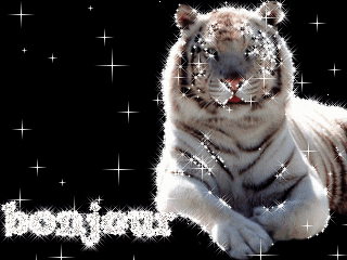 Stephane